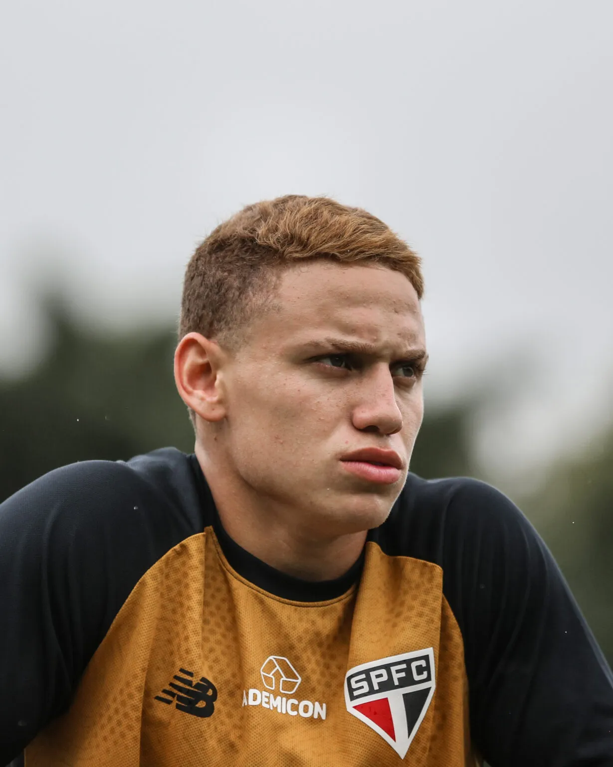 Jornalista: Jogadores de Cotia do São Paulo Enfrentam Desafios Físicos no Profissional